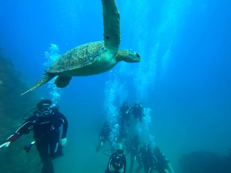 diving