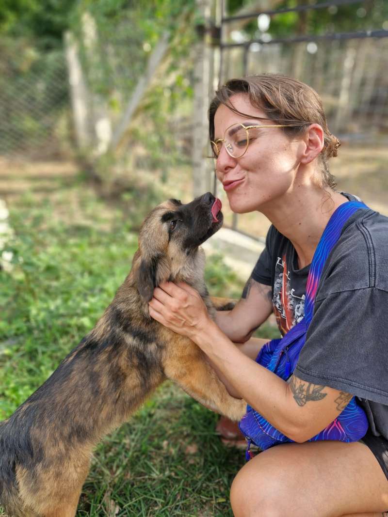 dog lovers