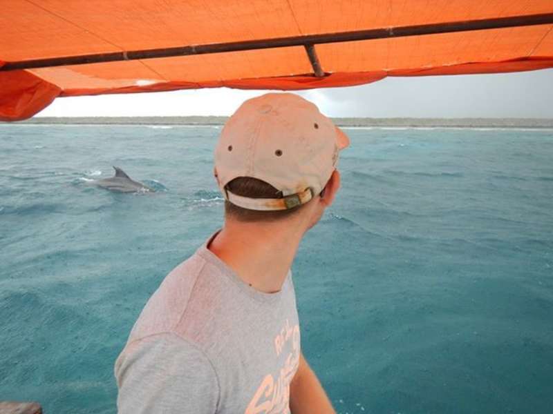 Dolphin spotting
