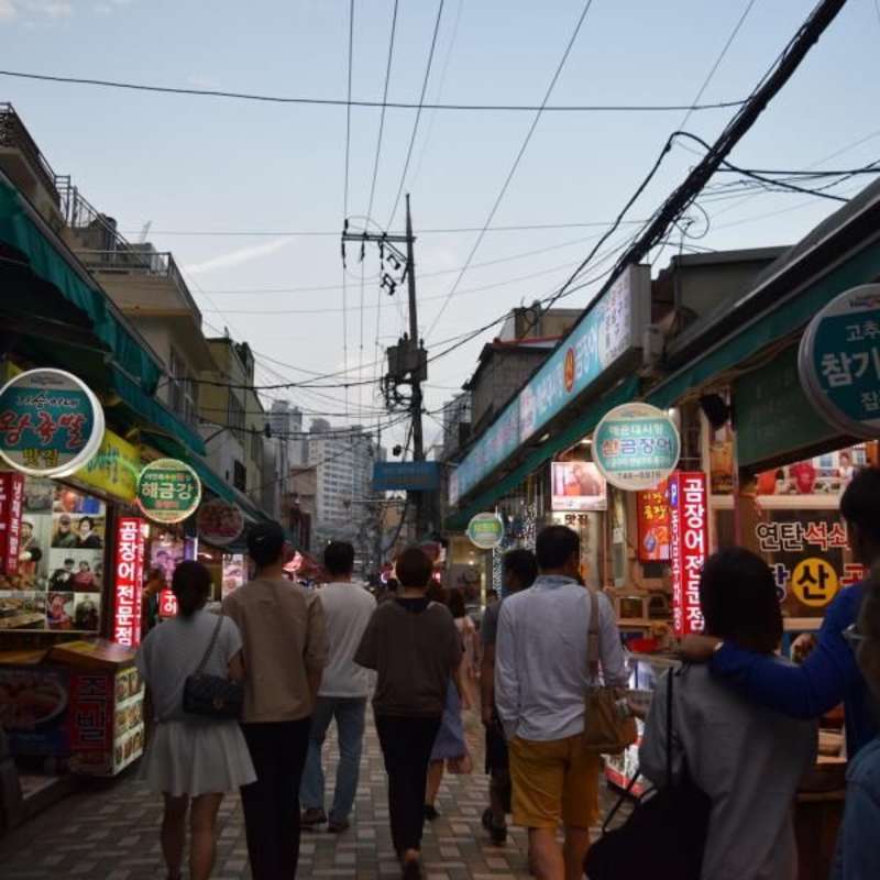 teens summer trip Japan