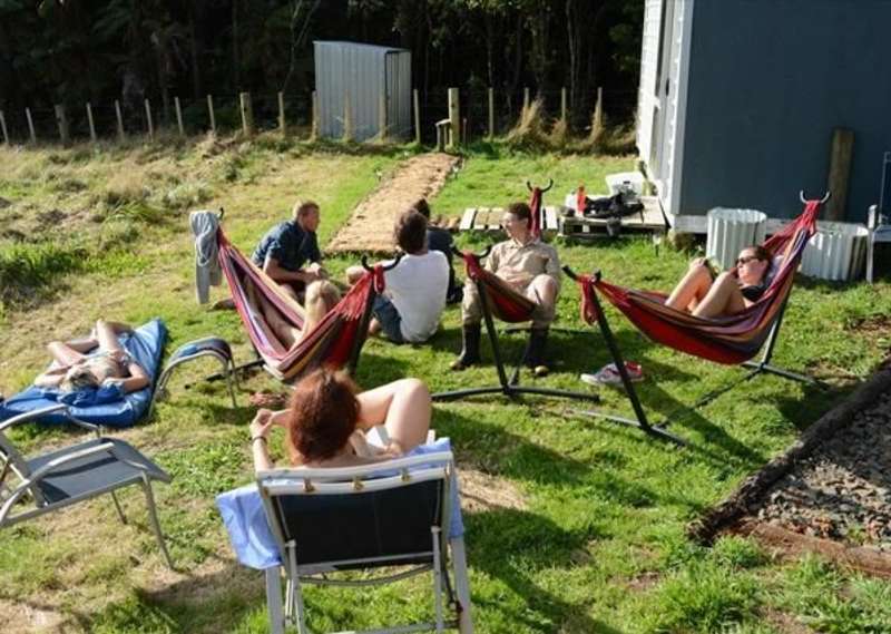 Volunteer in New Zealand