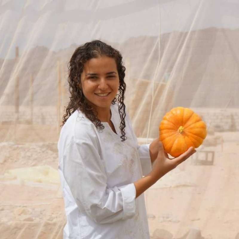 Volunteer with a pumpkin