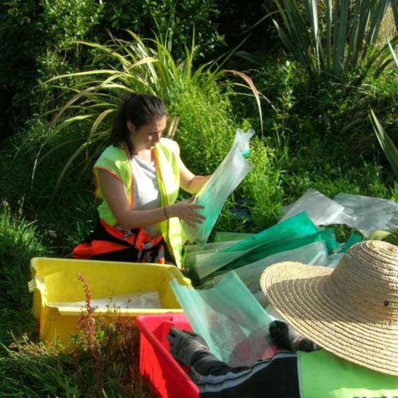 Volunteer in Nature Conservation