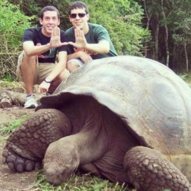 GoEco Giant Tortoise and Sea Turtle Conservation in the Galápagos