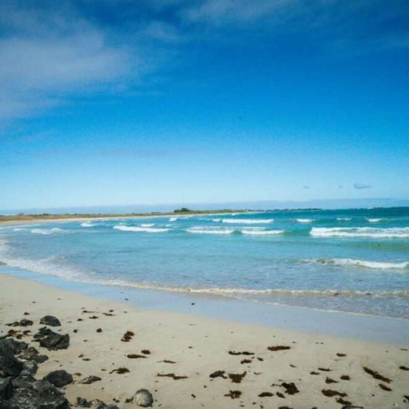 GoEco Giant Tortoise and Sea Turtle Conservation in the Galápagos