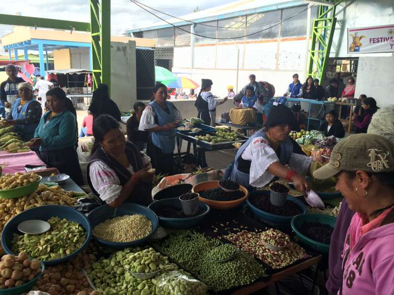 Ecuador Market