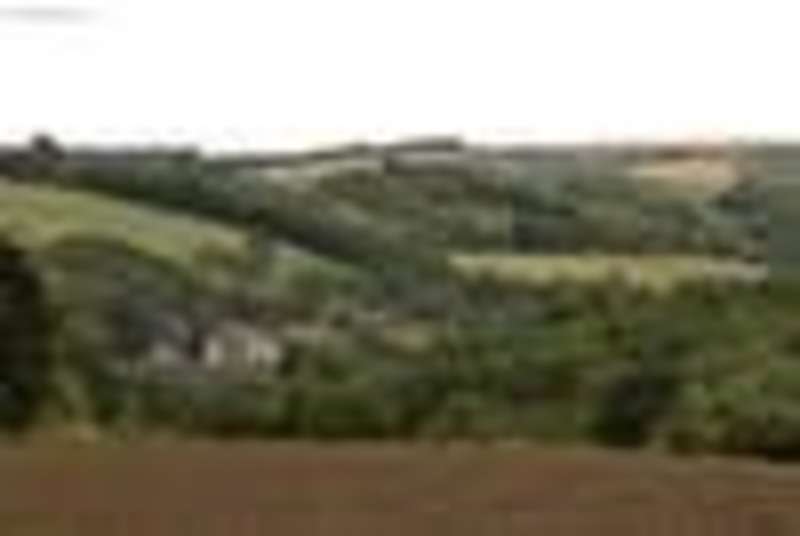 Environment