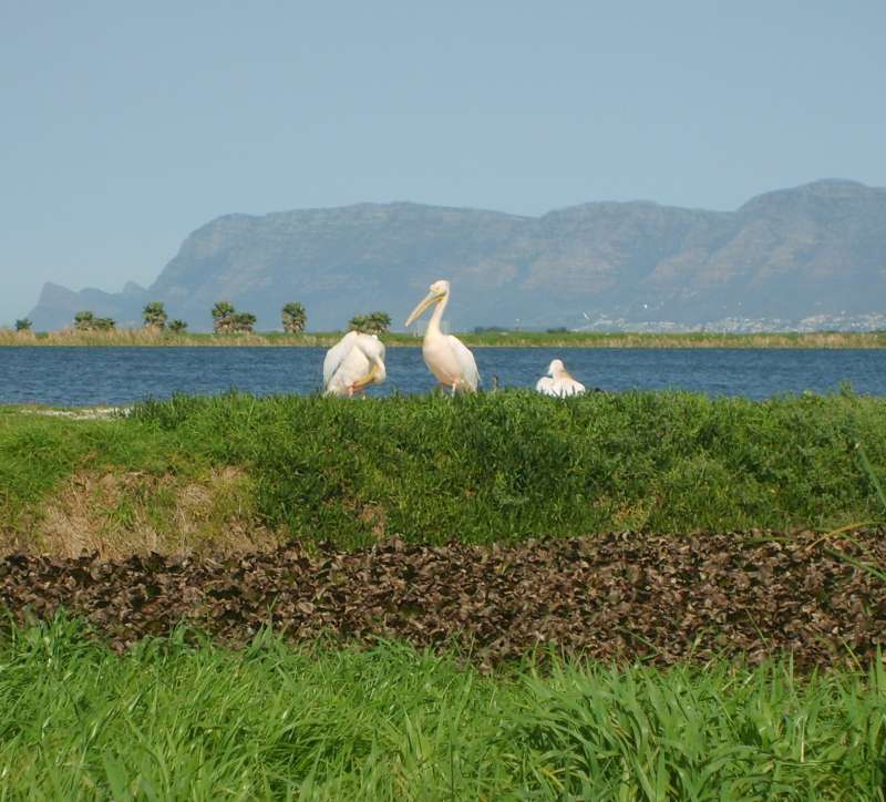 Environmental Protection Program in South Africa