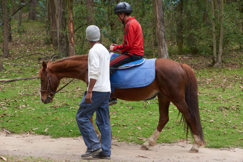 Equine Therapy in Ecuador