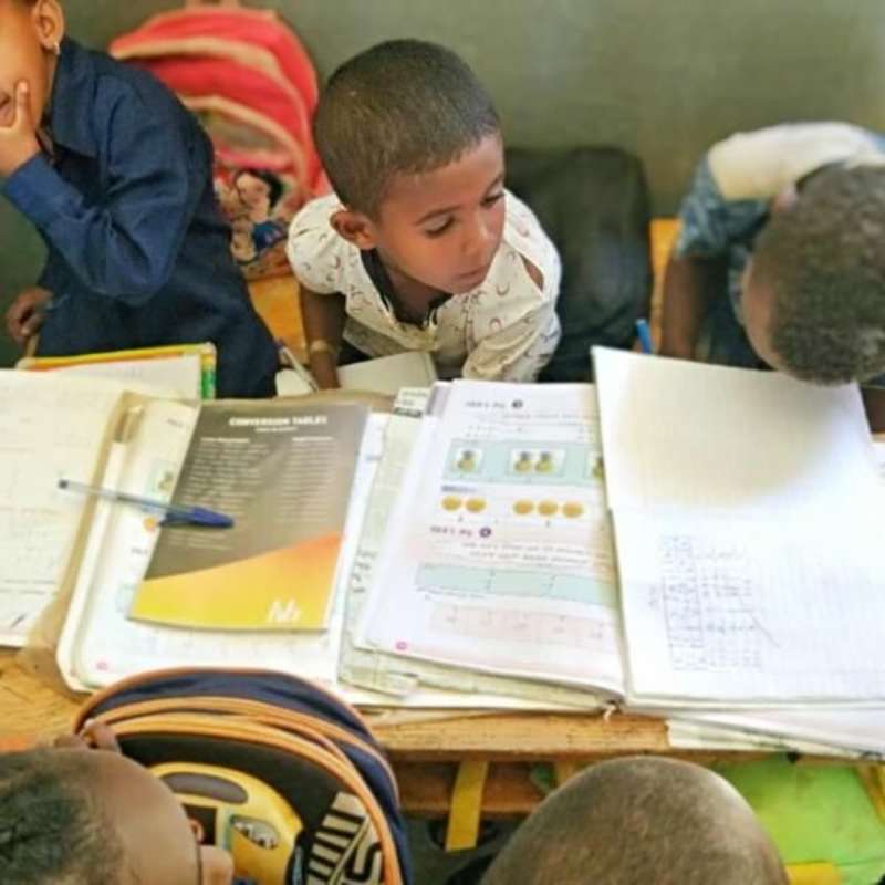 GoEco Ethiopia - English Teaching in Bahir Dar
