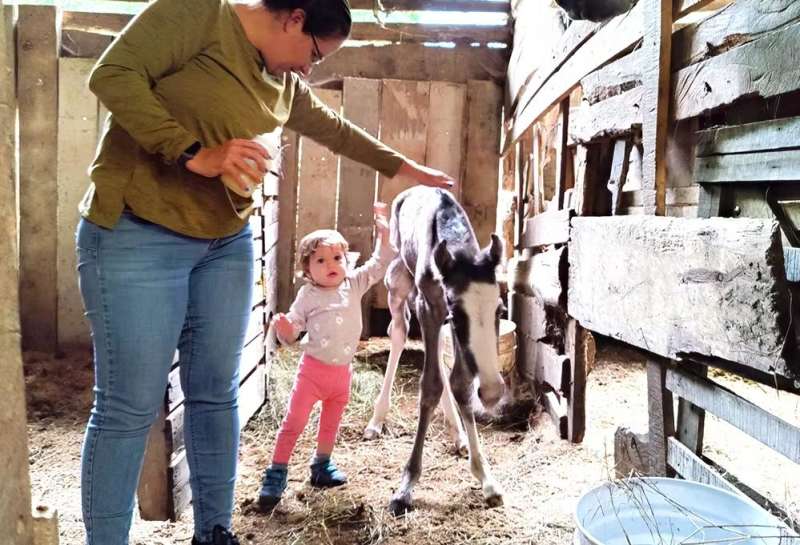 Family Caring for Animals in Costa Rica