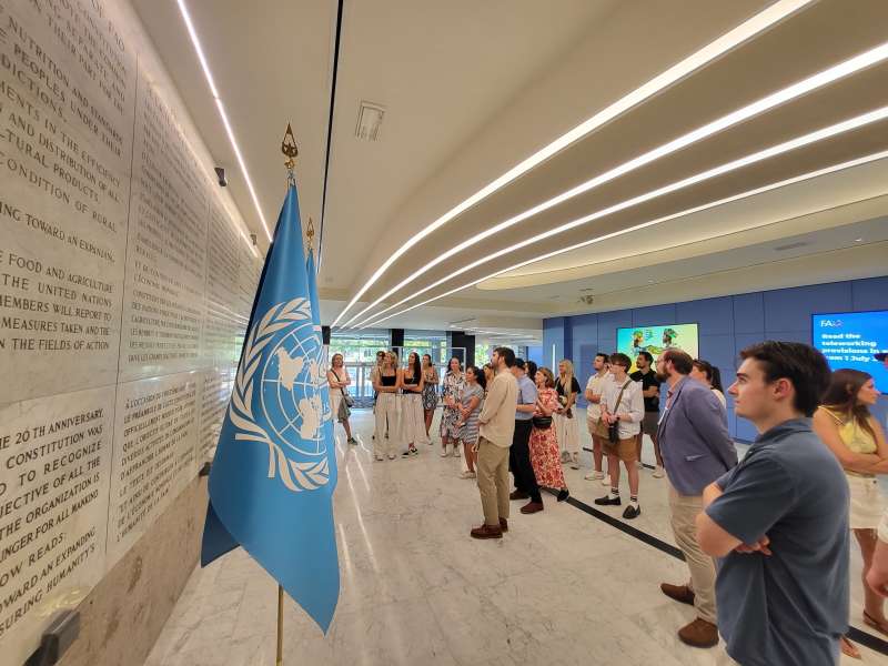 FAO is a specialized UN agency leading international efforts to defeat hunger and improve food security worldwide.