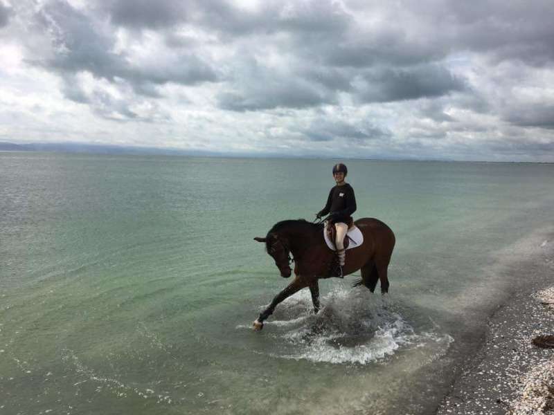 Farmstay girl taking a horse for a dip in the ocean.