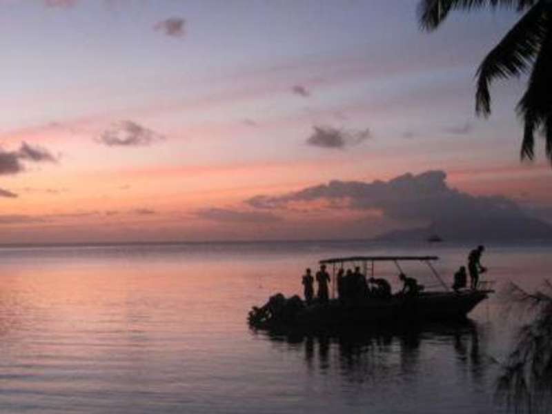 Seychelles - Scuba Dive for Research and Conservation — photo 7