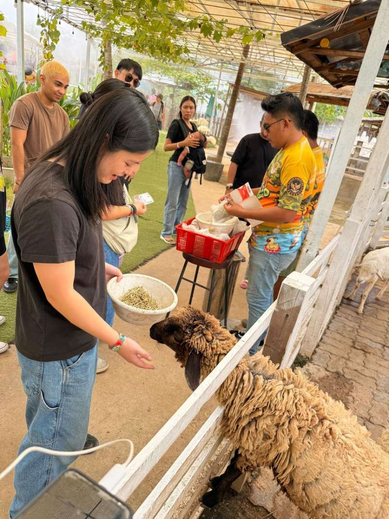 Feeding animals at a zoo in Singapore