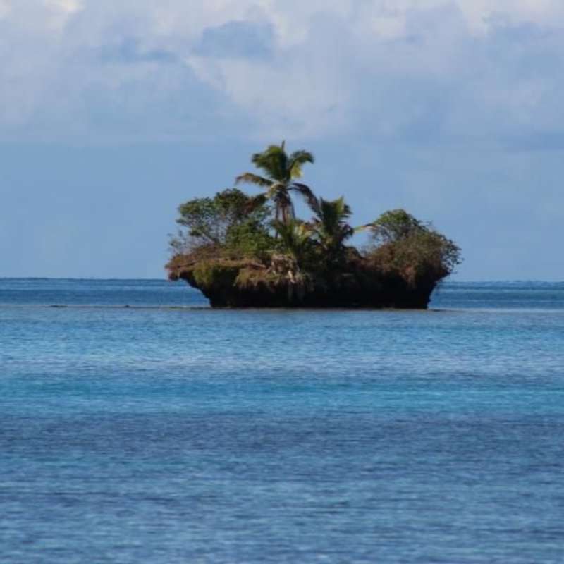 GoEco Fiji - Diving and Marine Conservation Expedition