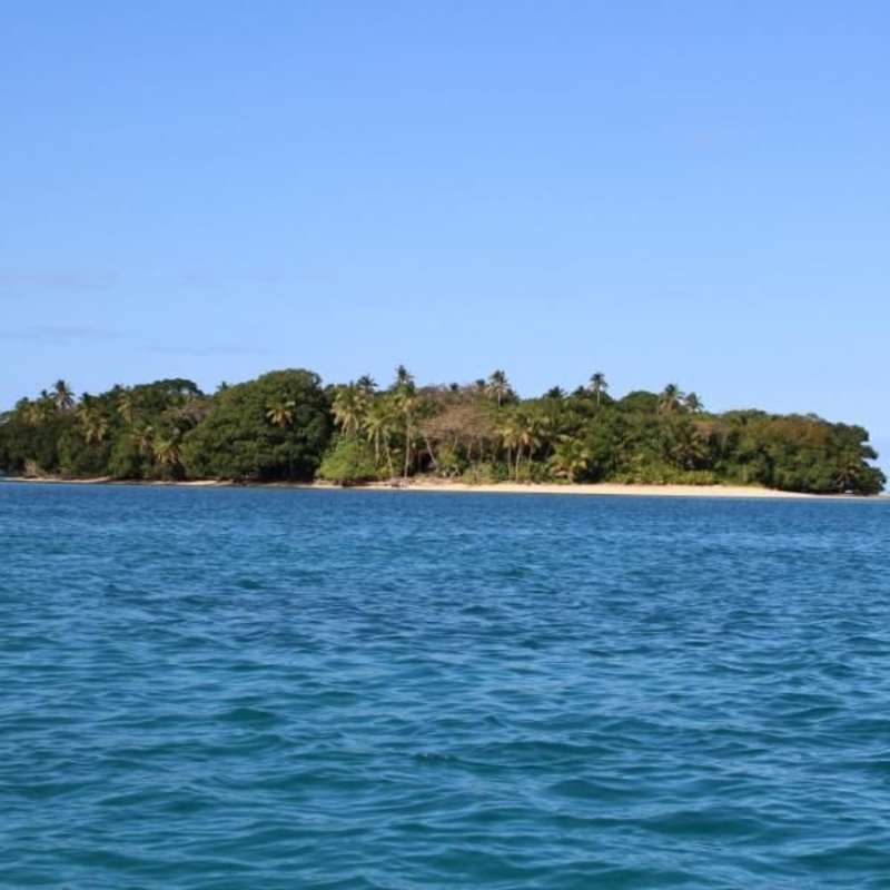 GoEco Fiji - Diving and Marine Conservation Expedition