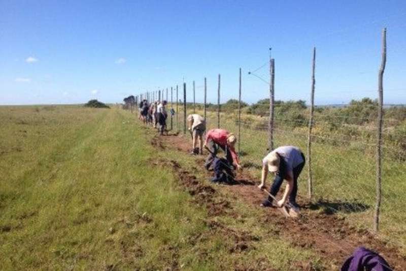 fixing the fence