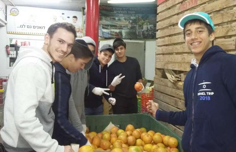 group of men checking a box of tomatoes
