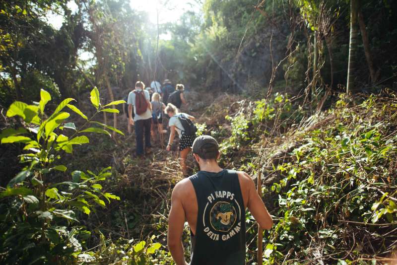 Forest Conservation