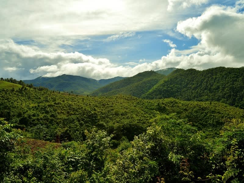 Forested valley and cloud in the mountains of Chiang Mai province