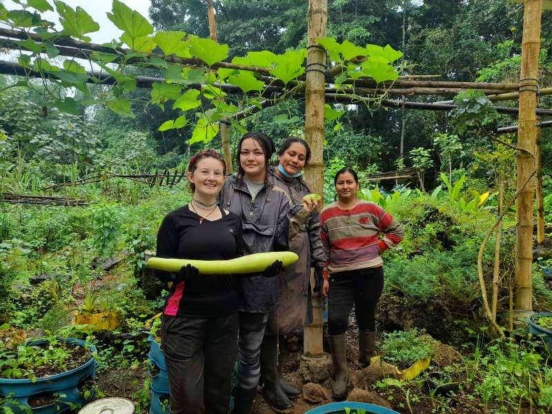 four peoples stand in garden holding produce