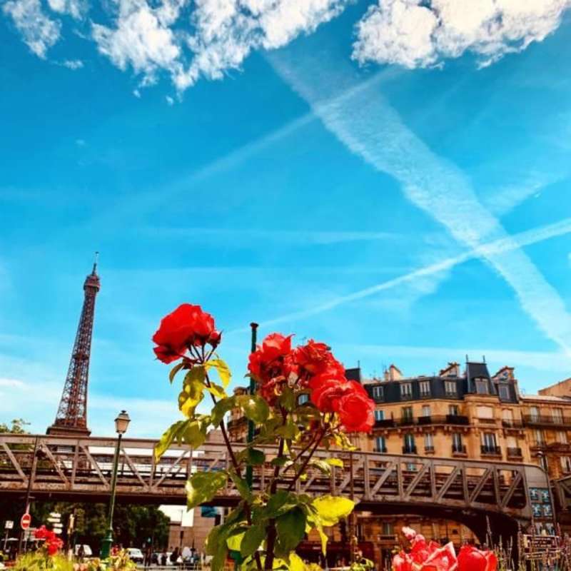 Landscape of Eiffel Tower and Flower