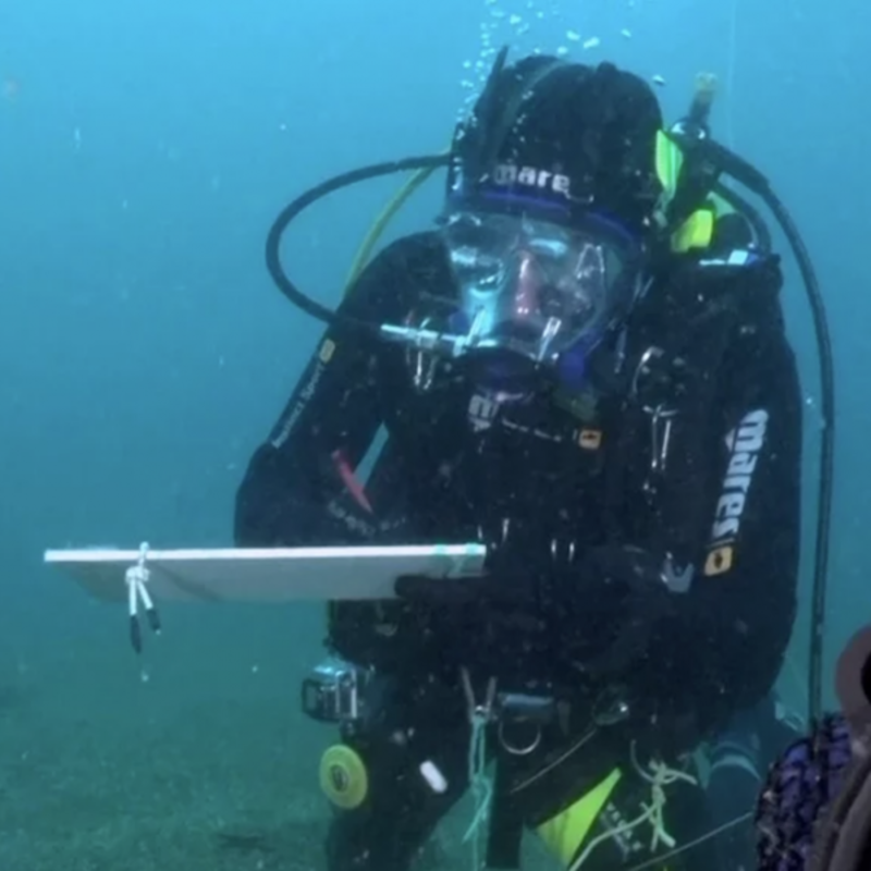Volunteer in Marine Conservation
