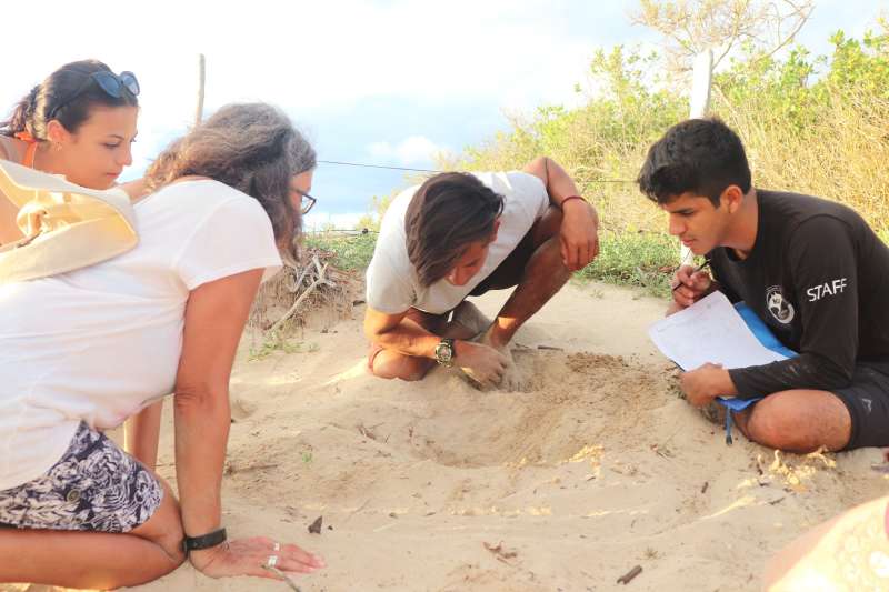 Galapagos Conservation Internship in Ecuador