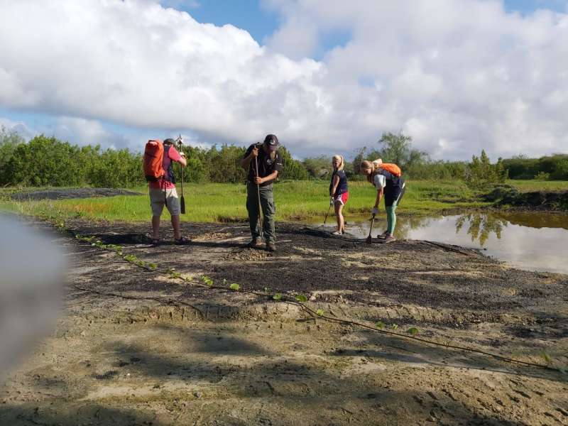 Galapagos Conservation Internship in Ecuador