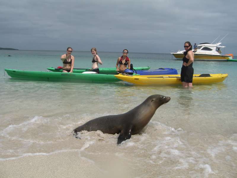 Galapagos Conservation Internship in Ecuador
