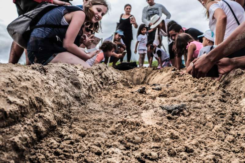Galapagos Development Internship in Ecuador