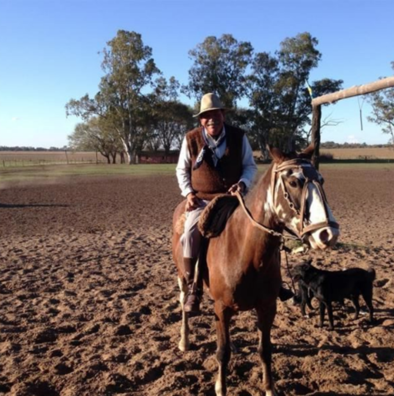 Argentine Gaucho on horseback