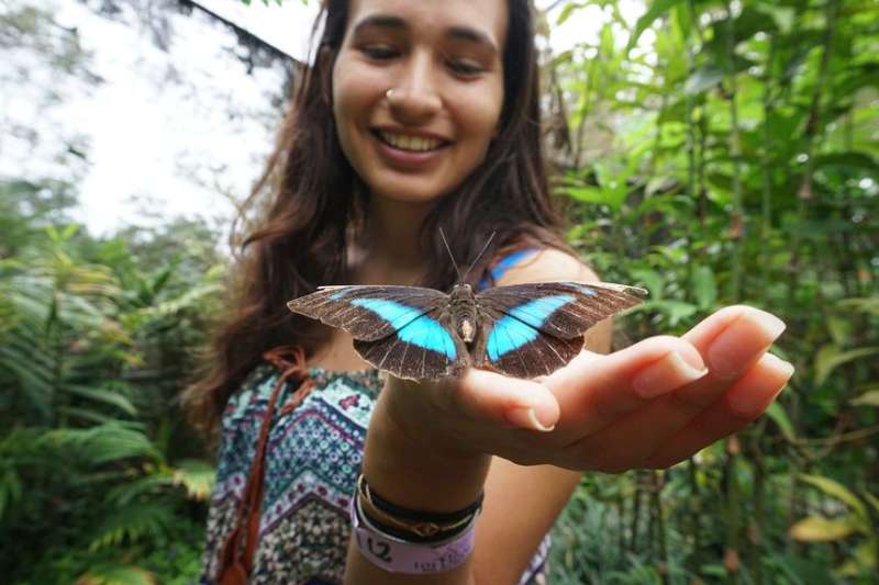Girl holding butterfly in palm in Monteverde