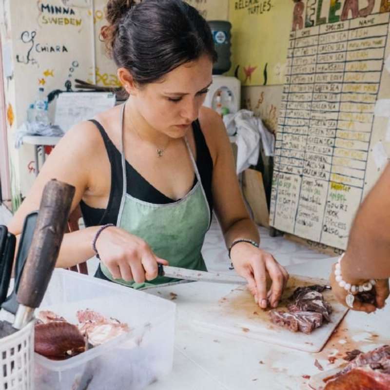 A volunteer In Bali on Turtle Conservation project
