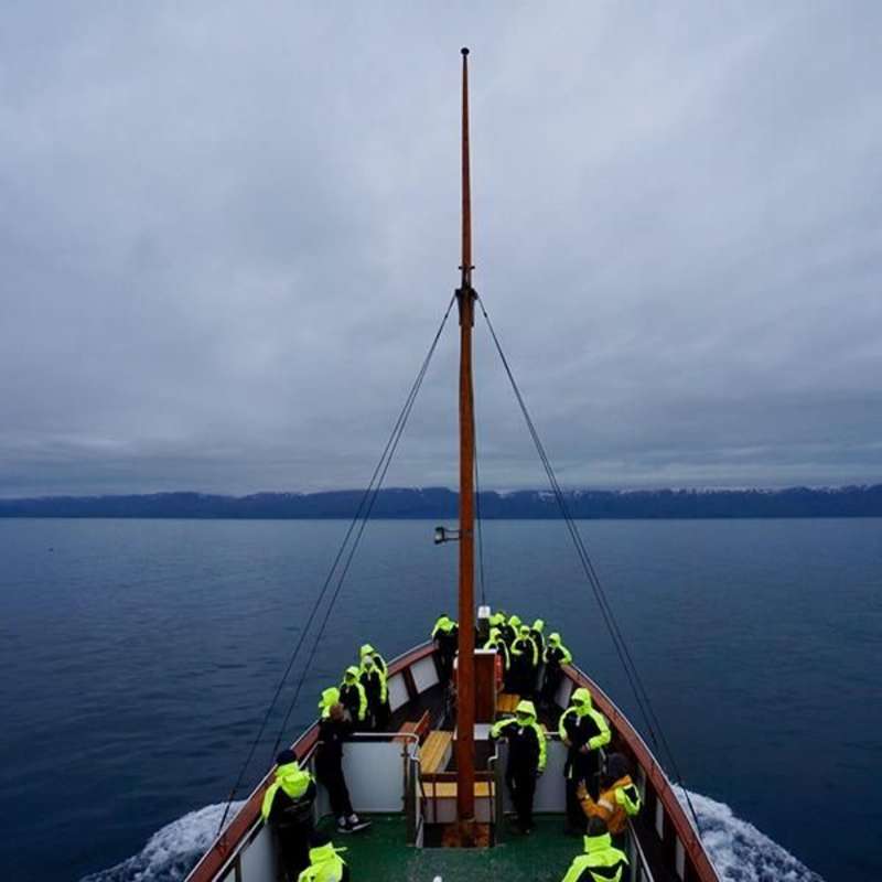 GoBeyond-Community-Service-Program-Iceland-5