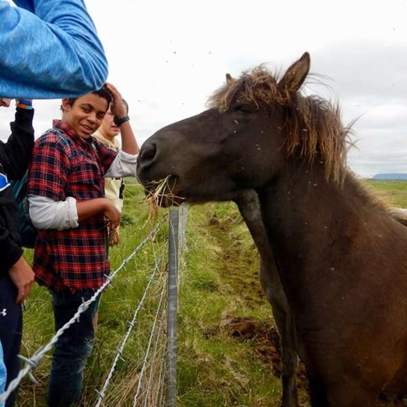GoBeyond-Community-Service-Program-Iceland-6