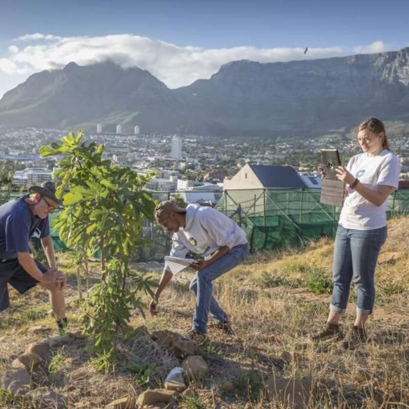 Environmental internship Cape Town