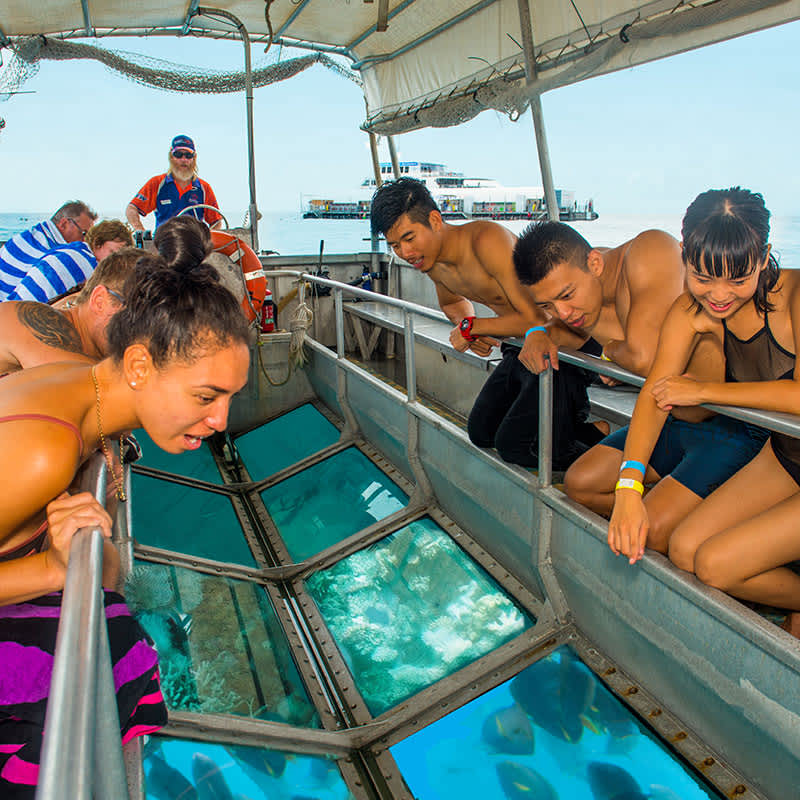 Great Barrier Reef Conservation in Australia