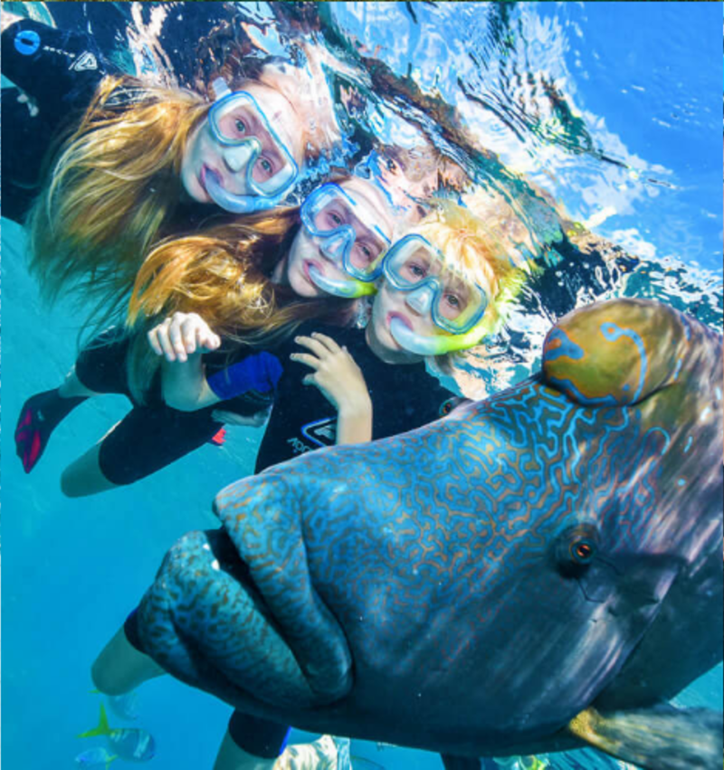 Great Barrier Reef Conservation in Australia