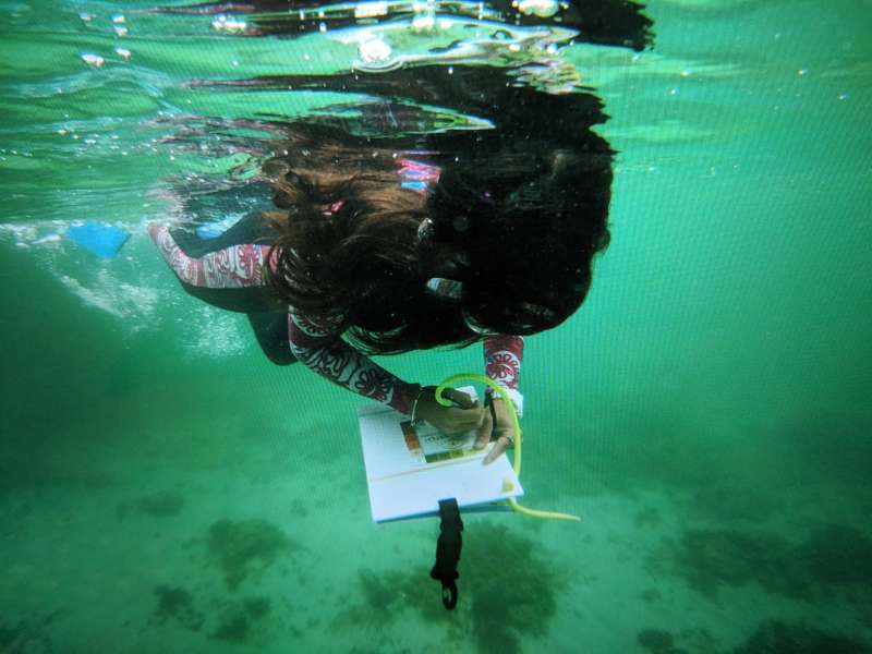 Great Barrier Reef Conservation in Australia