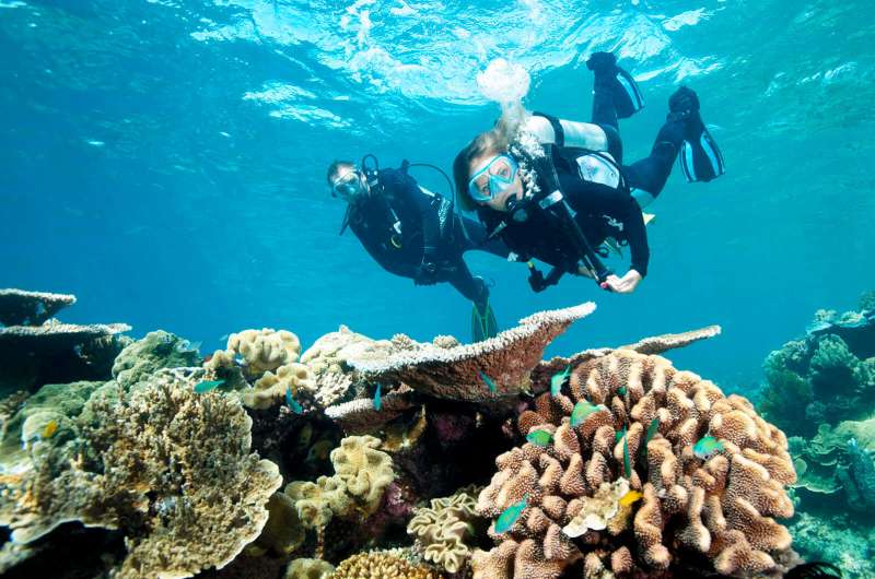 Great Barrier Reef Conservation in Australia