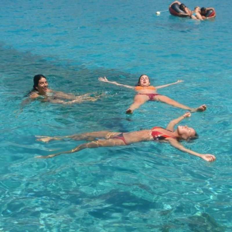 GoEco Greece - Sea Turtle Conservation
