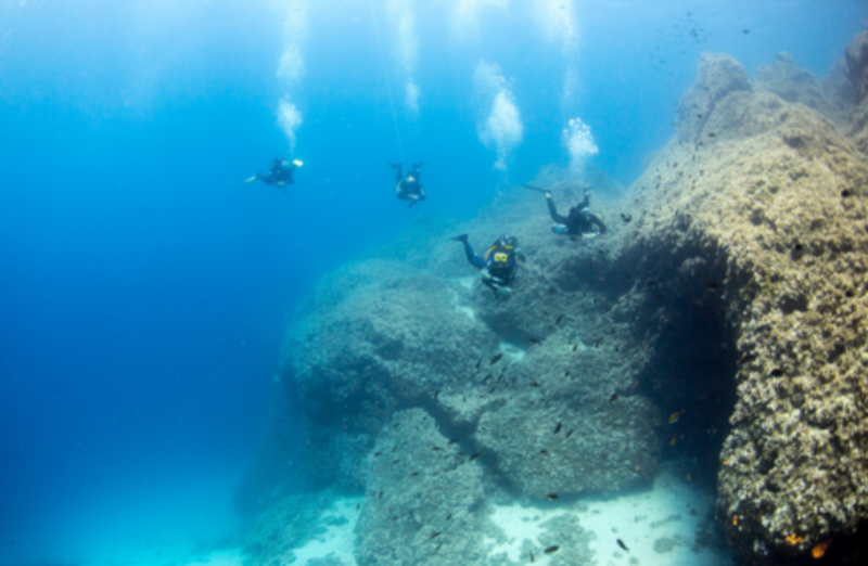 Greek Island Marine Conservation