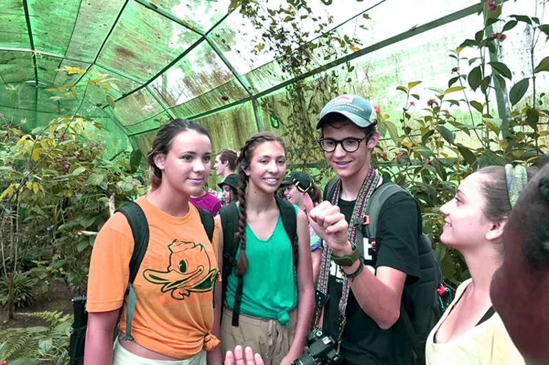 greenhouse