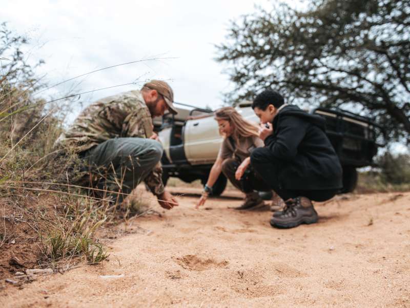 Group of ACE volunteers looking at tracks