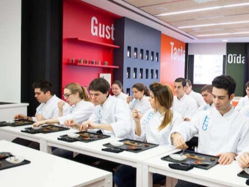 Group of cooking students preparing a dish