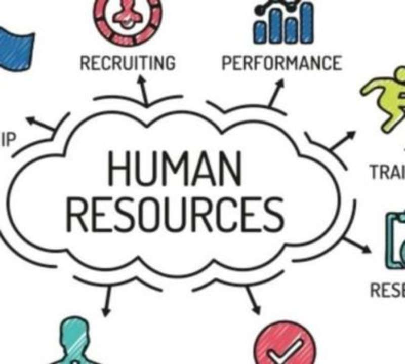 Group of diverse professionals in a meeting room discussing human resources management strategies.