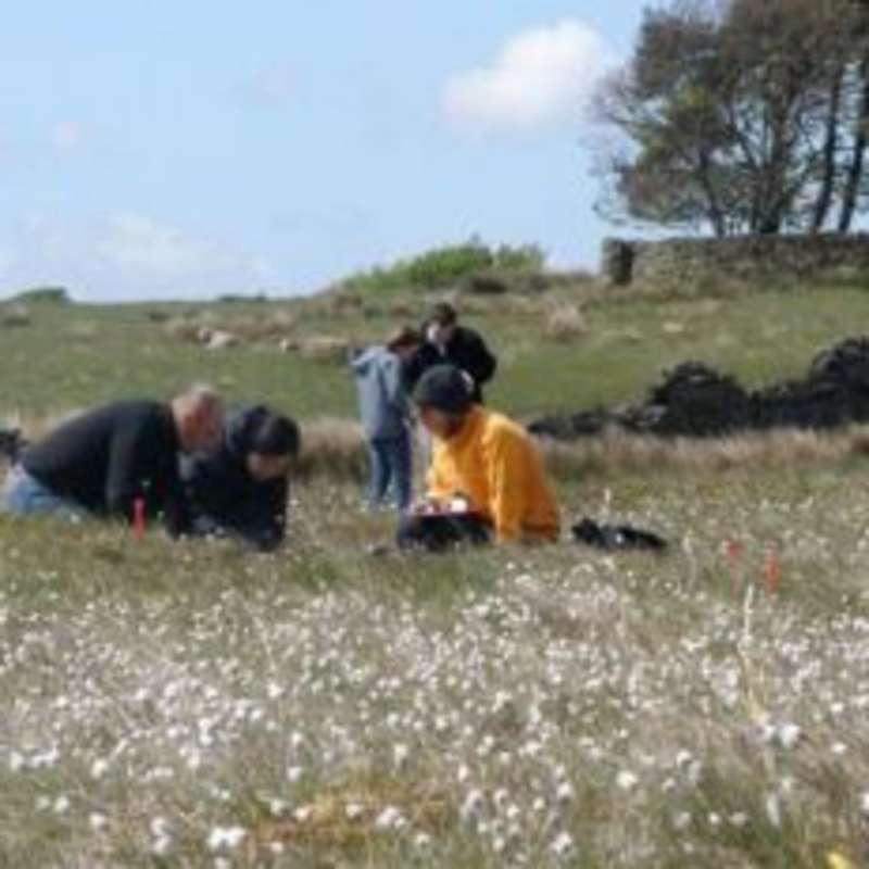 Group of individuals in a grassy field