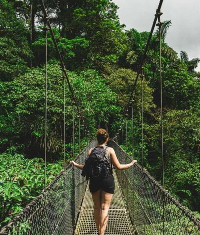 Costa Rican rainforest